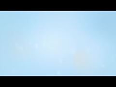 LVP 多段階の潤滑油浄化器 油フィルタリングオイル 潤滑油脱水油 水分分離器